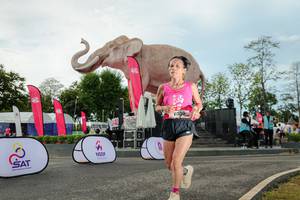 BIB: 
                            <button type="button" onclick="openModal(26529057)" class="btn btn-primary btn-sm float-right btn-popup" data-toggle="modal" data-target=".modal-high-quality">
                        <i class="fas fa-shopping-cart"></i> Add to Cart
                    </button>
                                            <button type="button" onclick="isThisMe(26529057, true)" class="btn btn-success btn-sm float-right btn-popup btn-isme hidden" data-toggle="tooltip" data-placement="bottom" title="นี่คือรูปของคุณใช่ไหม คลิกที่นี่เพื่อเอาเข้าอัลบั้ม">
                        <i class="fas fa-plus"></i> Add to album
                    </button>
                    <button type="button" onclick="isThisMe(26529057, false)" class="btn btn-warning btn-sm float-right btn-popup btn-isnotme hidden">
                        <i class="fas fa-ban"></i> Remove from album
                    </button>